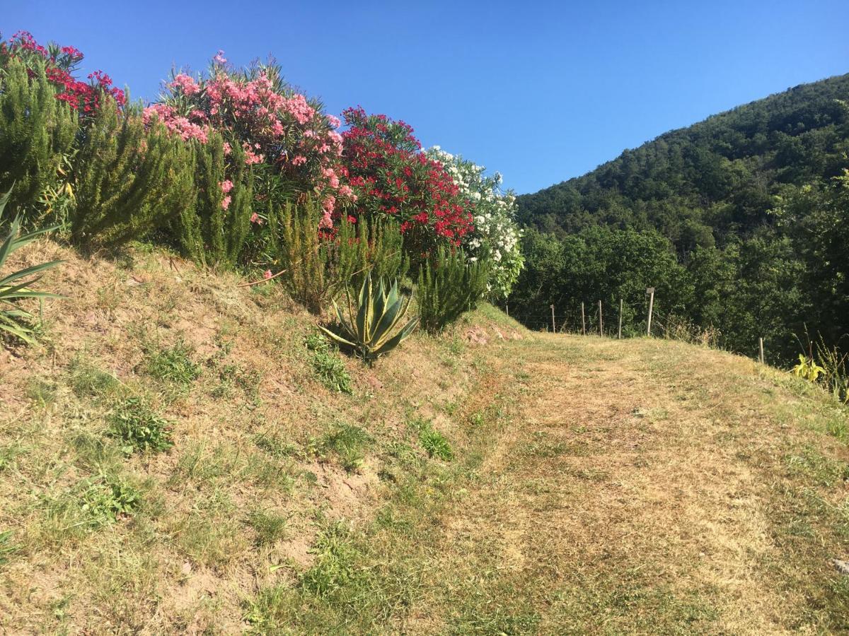 Cinque Terre, Tuscany, Liguria, Lerici #5 Esterno foto